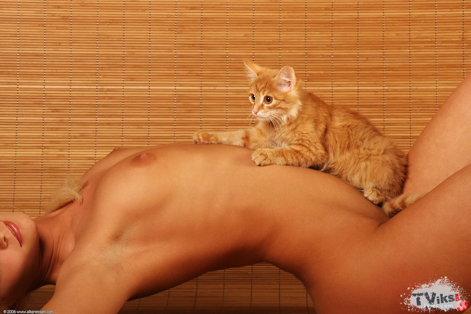 Порно кот и девушка